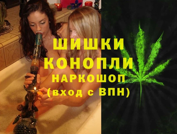 молекула духа Мегион