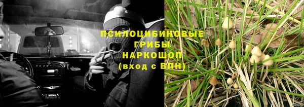 PSILOCYBIN Михайловка