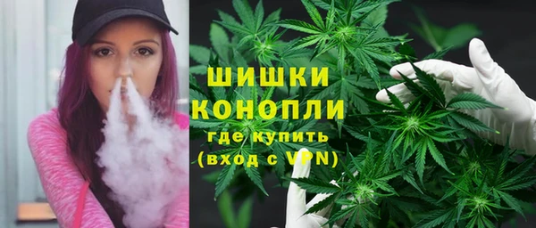 молекула духа Мегион