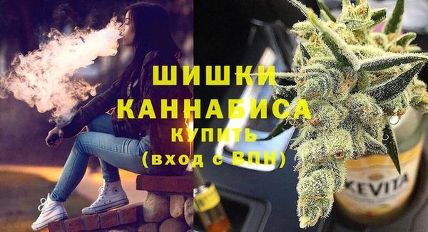 ГАЛЛЮЦИНОГЕННЫЕ ГРИБЫ Медногорск