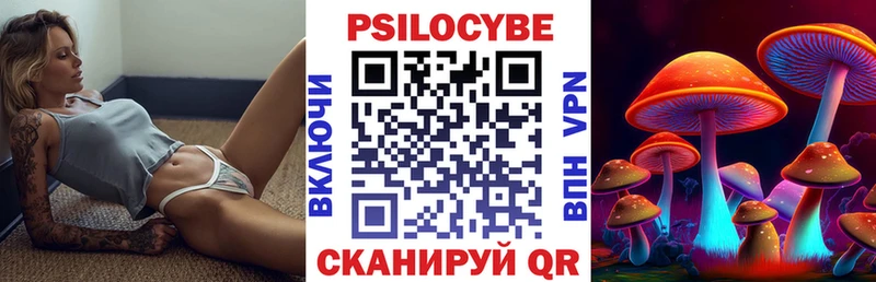блэк спрут ТОР  Миньяр  Псилоцибиновые грибы Psilocybine cubensis 