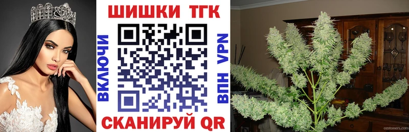 Каннабис планчик  Миньяр 